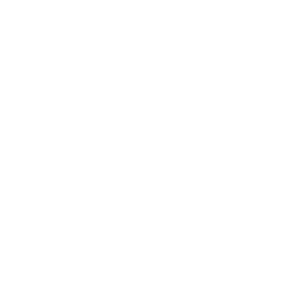 Checklist Section 333 Icon
