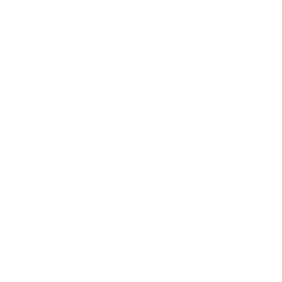 Checkmark Circle Icon