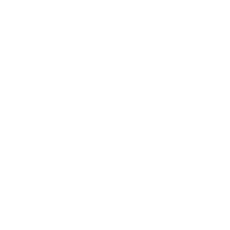 Checkmarks Variant Icon