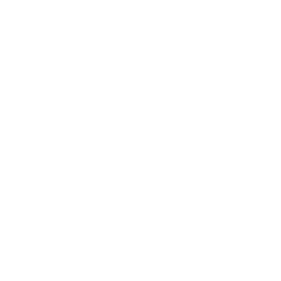 China Drone Icon