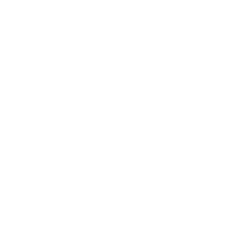 Class B Airspace Icon
