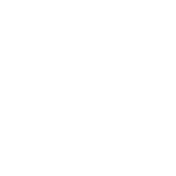 Class D Airspace Icon