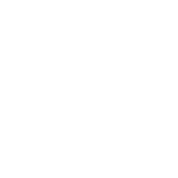 Class E Airspace Icon