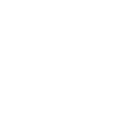 Cloud Data Drone Icon