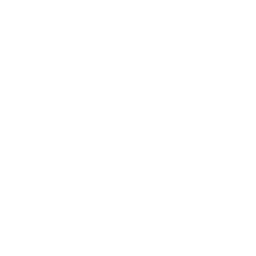 Cloud Data Files Icon
