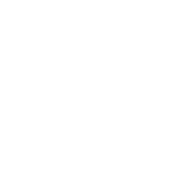 Cloud Data Money Icon