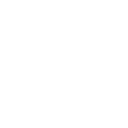 Cloud Data Search Icon