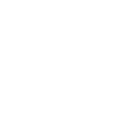 Cloud Data Settings Icon