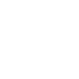Cloud Data Shield Icon