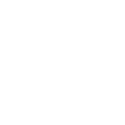 Cloud Data User Icon