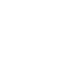 Concert Drone Icon