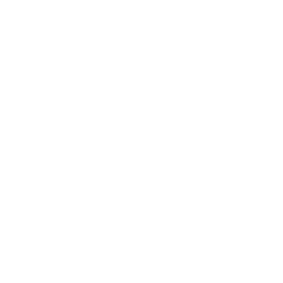 Credit Card Lock Icon