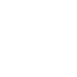 Digital Elevation Model Measure Icon