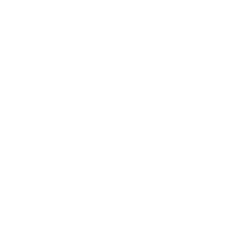 Digital Elevation Model Mind Icon