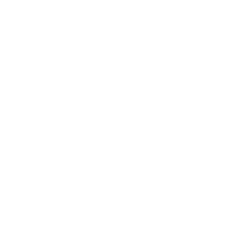 Digital Elevation Model Money Decrease Icon