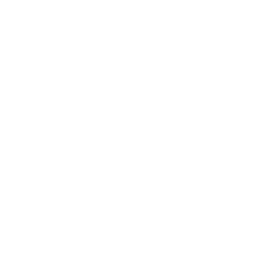 Digital Elevation Model Money Icon