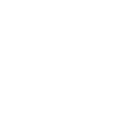 Digital Elevation Model Report Checklist Icon