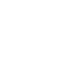 Drone 360 Icon