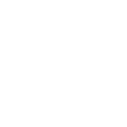 Drone Airspace Lock Icon