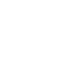 Drone Airspace Icon