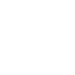 Drone Aperture Icon