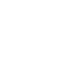 Drone App Bar Chart Icon
