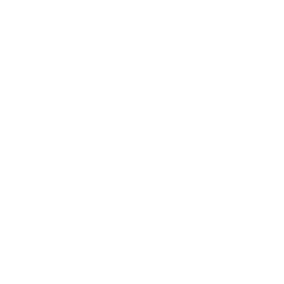 Drone Badge Section 333 Icon