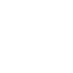 Drone Blue Hour Sunrise Icon