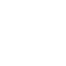 Drone Checkmark Icon