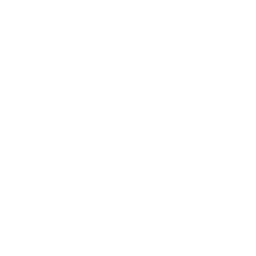 Drone Deliver Medical Icon