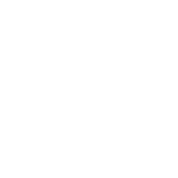 Drone Deliver Medicine Icon