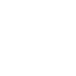 Drone Deliver Shipping Box Icon