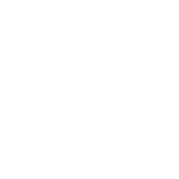 Drone Deliver Shopping Cart Icon