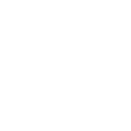 Drone Down Right Icon