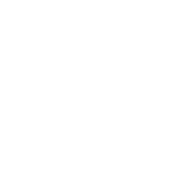 Drone Eye Icon