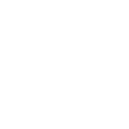 Drone File Icon