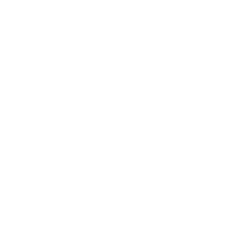 Drone Fleet Checkmark Icon