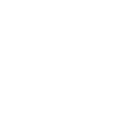 Drone Fleet Lock Icon