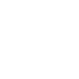 Drone Fleet Shield Icon