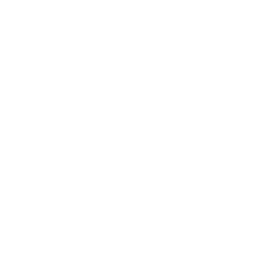 Drone Fleet Variant Icon