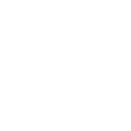 Drone Fleet Icon