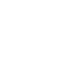 Drone Golden Hour Sunrise Icon
