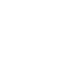 Drone Golden Hour Sunset Icon