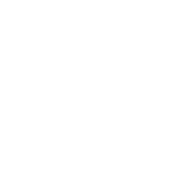 Drone ID In Icon
