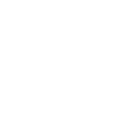 Drone ID Icon
