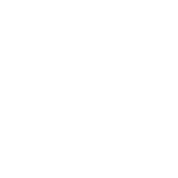 Drone Image Icon