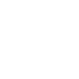 Drone Landing Icon