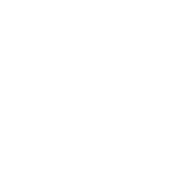 Drone Left Icon