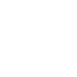 Drone Mail Icon