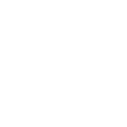 Drone Marker Icon